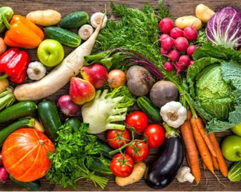 Fresh Vegetables - Bharat Exim - India