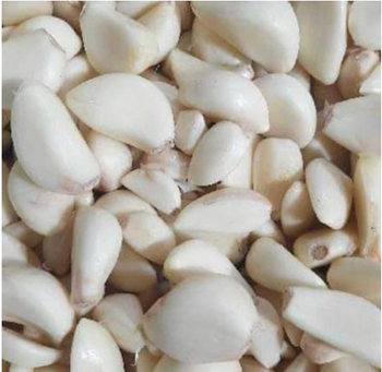 Peeled Garlic