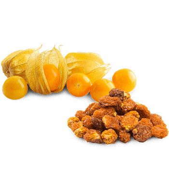 Dehydrated Golden Berry - Agritrade S.A.C - Peru