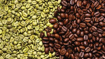 Green coffee – product photo, Green Coffee Extract products found from trusted suppliers, wholesalers, manufacturers & exporters Listing