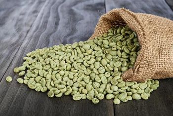 Arabica Green Coffee Beans Grade AA Max. Moisture (%) 11% Drying Process Sun light Packaging Details 50 Kg Jute - Kenpapylus ltd - Kenya