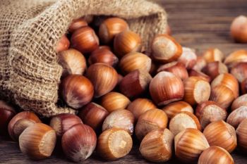 Hazel Nuts - GLOBAL AGRICOL LTD - Kenya
