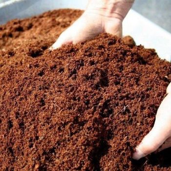 Premium High EC Coco Peat – Export Quality Coconut Coir Substrate from Sri Lanka - premier vet care & import pvt ltd - Sri Lanka