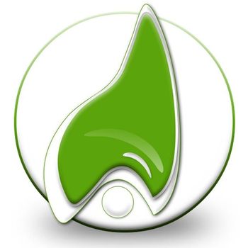 ANCHORAGE LINK SERVICES LIMITED 