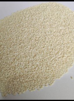 Hulled Sesame Seed - SJM Agro Overseas Inc - India