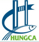 pangasius, frozen fillet, frozen fish  - HungCa Group - Vietnam