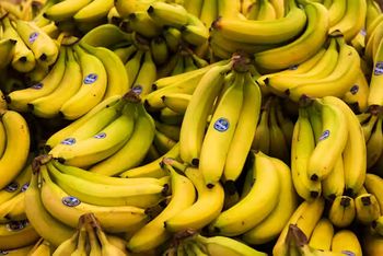Cavendish Bananas - FGE Fruit Global Export - Vietnam