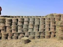 Peanut straw - QM Organics  - Pakistan