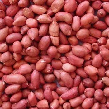 Peanut kernel Packaging As per order Feature Good size and taste Max. Moisture (%) Less than - QMorganics  - Pakistan