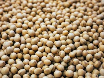 Soyabean Grade Grade A Gmo Status Gmo-free Brand Name Soyabean Packaging 50 kg Bag Sourcing Ethic Ethically Sourced Fat Content Low In Saturated Fats - Sealord Energy Services Ltd  - Nigeria