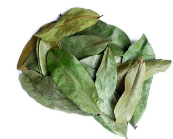 Premium Dried Soursop Leaves - 100% Organic | Herbal Tea Leaves for Immune Support, Detox & Wellness - JOHN JAMARION EMPIRE LLC - United States