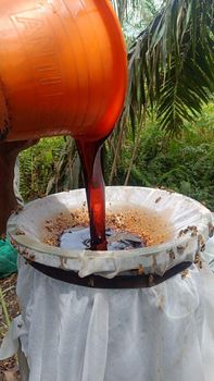 Bulk Natural Honey - PT.Aracob International Trade - Indonesia