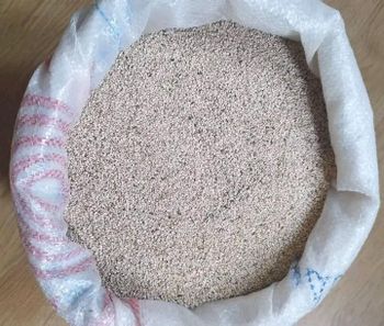 Sesame seed Grade A Purity 98% Fat Content 61.7% Flavor Rich, Nutty Origin Kano Nigeria Protein Content 21.9% Place of Origin Nigeria - Goddey agric global investment Ltd  - Nigeria