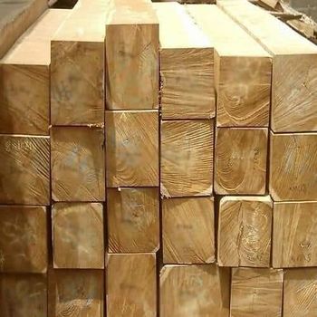 Nigerian plantation teak wood in logs  - M. I. NNACHI AND SONS LTD  - Nigeria