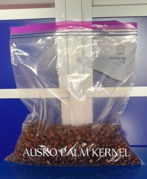 Ausko Palm Kernel Large scale production ORGANICALLY PROCESSED from AUSKOBEN.J GLOBAL RESOURCES LIMITED Ausko Palm Kernel Large scale production ORGANICALLY PROCESSED - AUSKOBEN.J GLOBAL RESOURCES LIMITED - Nigeria