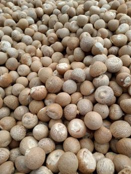 Betel Nut/Areca Nut  Max. Moisture (%) 2% Packaging 40’/25 MT (Approx), 60 kg Jute Bags Type 80-85% -90-95% Good cut, Split,  Oven Dried and - PT Milineal putra corporindo  - Indonesia