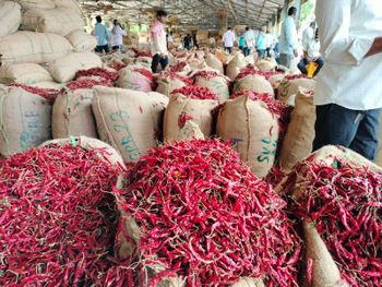 INDIAN RED CHILLI  - PREMIUM PRODUCT - COMPETITIVE PRICE – product photo, Red Chilli Pepper products found from trusted suppliers, wholesalers, manufacturers & exporters Listing