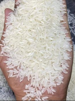 Brazil Linge Grain Rice 25% Broken Well Milled 100% Clean from FENIX M COMERCE FOR FOOD TRADING CO LLC Brazil Linge Grain Rice 25% Broken Well Milled 100% Clean - FENIX M COMERCE FOR FOOD TRADING CO LLC - United Arab Emirates