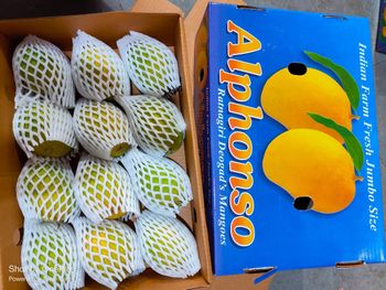 Alphonso Mango - Bharat Exim - India