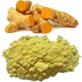 Turmeric powder (organic) - ADJL GLOBAL TRADE - India