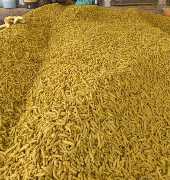 Turmeric powder  – product photo, Organic Turmeric Powder products found from trusted suppliers, wholesalers, manufacturers & exporters Listing