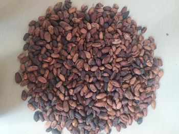 Indian Cocoa Beans – product photo, Fermented Cocoa Beans products found from trusted suppliers, wholesalers, manufacturers & exporters Listing