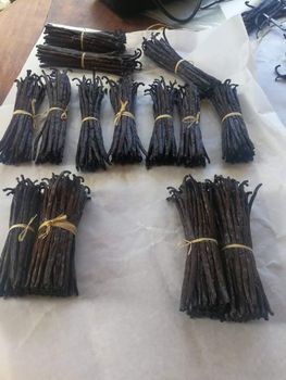 Vannila Beans – product photo, Tahitian Vanilla Beans products found from trusted suppliers, wholesalers, manufacturers & exporters Listing