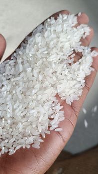 IR 64 WHITE RICE from SJM GROUP INC IR 64 WHITE RICE - SJM GROUP INC - Indonesia