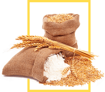 Organic Cereals Mix Organic Certification All Organic Oilseed Type Hemp Seeds, Sunflower Seeds Primary Use Human And Animal - Intema import-export Sl - Spain