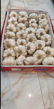 GARLIC BULBS AND PEELED  - Garden to global exports pvt ltd  - Pakistan