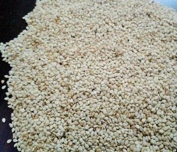 Pakistan White seasme A+grade Any packing buyers requirement – product photo, Black Sesame products found from trusted suppliers, wholesalers, manufacturers & exporters Listing