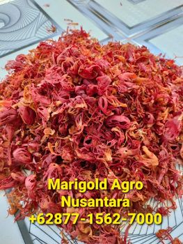 Mace/Fuli/Nutmeg Flower - Marigold agro nusantara - Indonesia