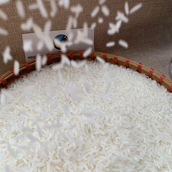 Reliable Source for Organic Vietnamese Jasmine Rice Soft White Dried Rice for Dealers Manufacturers and Charities - Ngoc Chau Rice Export - Vietnam