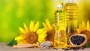 High Quality 100% Refined Sunflower Cooking Oil In Bulk - TRADING VM - United States