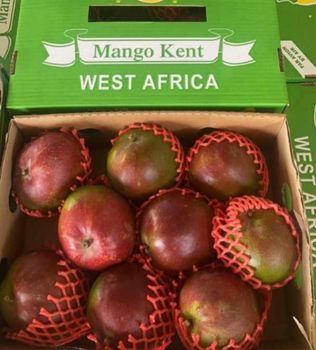 Mango Carton 6kg Mangue Kent Type  - Africa New Deal (AND) - Togo