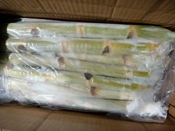 Frozen peeled sugarcane Type ROC 16 Origin Vietnam Packaging Carton Brix Level 18 Min Cut Length 40-50cm Place of Origin Vietnam - Công ty TNHH Thương Mại Xuất Nhập Khẩu Tân Gia Thành - Vietnam