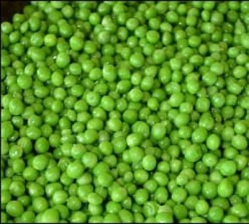 Peas - Eco Export Vietnam - Vietnam