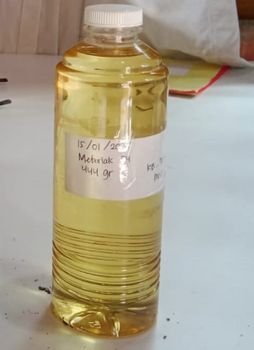 Nutmeg Essential Oil Color Pale Yellow To Golden Yellow Extraction Method Steam Distillation Source Locally Cultivated In - PT Agrolink Nusa Internasional - Indonesia