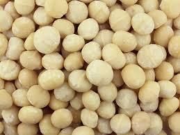 Macadamia Nuts Whole - 11.34kg Bulk - Eco Farma Polska sp. z o.o. - Poland