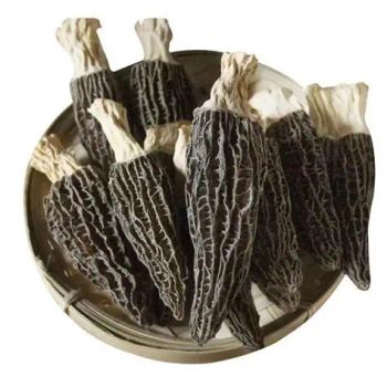 Dried Morchella - Export Grade from HK JINYIDA TRADING CO.,LIMITED Dried Morchella - Export Grade - HK JINYIDA TRADING CO.,LIMITED - Hong Kong