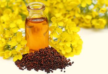 Pressed Mustard Oil / Pressed Mustard Oil for sale / wholesale price Pressed Mustard Oil/  - Klapec sp. z o.o. - Poland