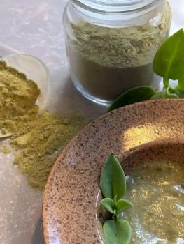Neem Powder - Sangi International Trade - India