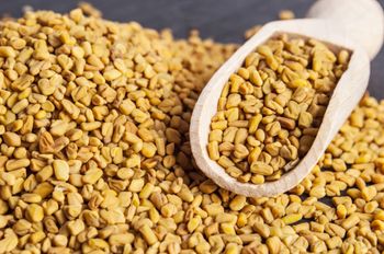 Fenugreek Seeds Aroma Distinctive Color Golden-brown Flavor Subtly Bitter Harvest Method Freshly Harvested Purity Unmatched Purity And - S E INTERNATIONAL - India