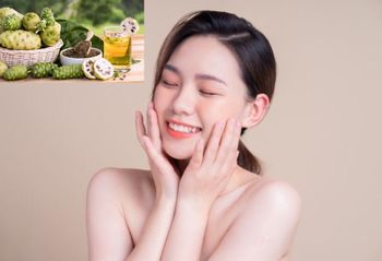 Cheap Noni Juice + Noni Fruit Powder  Material Noni Form VIET NAM Address VIET NAM Drying Process Noni Color Bromn - - O'S SAKE TRADING PRODUCTION COMPANY LIMITED - Vietnam