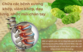NONI JUICE + NONI POWER  Address Việt Nam Drying Process NONI Packaging Plastic bags or plastic - O'S SAKE TRADING PRODUCTION COMPANY LIMITED - Vietnam