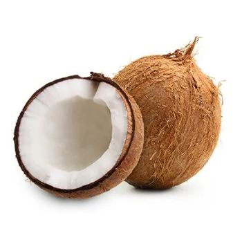 Fresh Indian Coconut for Export | Bulk 40-Foot Container Supply - Devasri International export and import - India