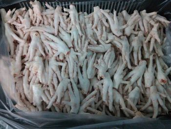 Frozen Grade A+ Chicken Feet, Frozen Chicken Paws - S Foods - United States