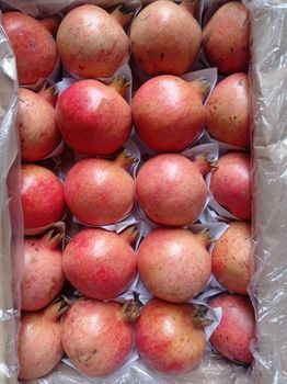 pomegranate - World Import Export Trade LLC - Uzbekistan