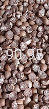 Betel Nuts from alburfa sibanceh jaya Betel Nuts – product photo, Organic Betel Nuts products found from trusted suppliers, wholesalers, manufacturers & exporters Listing