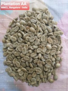 PLANTATION AA - Mysore Mercantile Co Ltd - India